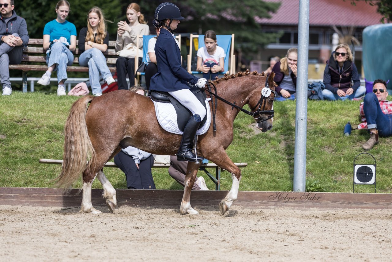 Bild 623 - Pony Akademie Turnier